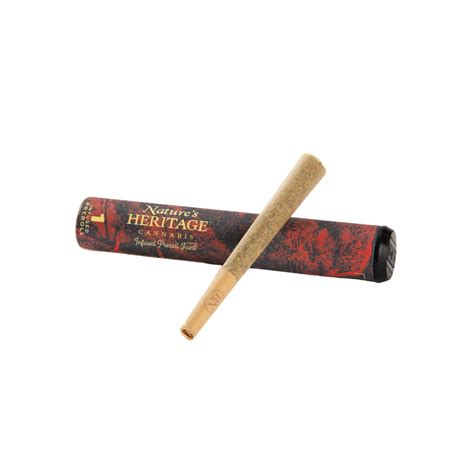 hash infused pre roll.